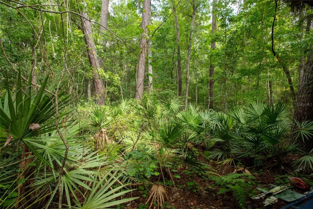5165 Chicory Circle Middleburg FL 32068
