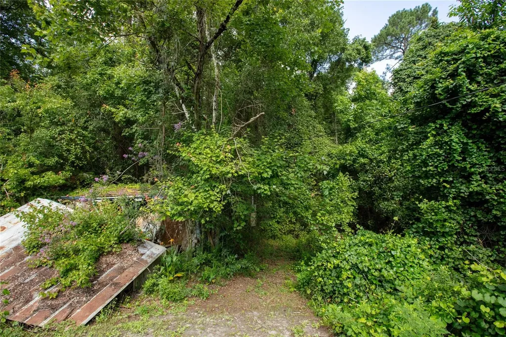 5165 Chicory Circle Middleburg FL 32068