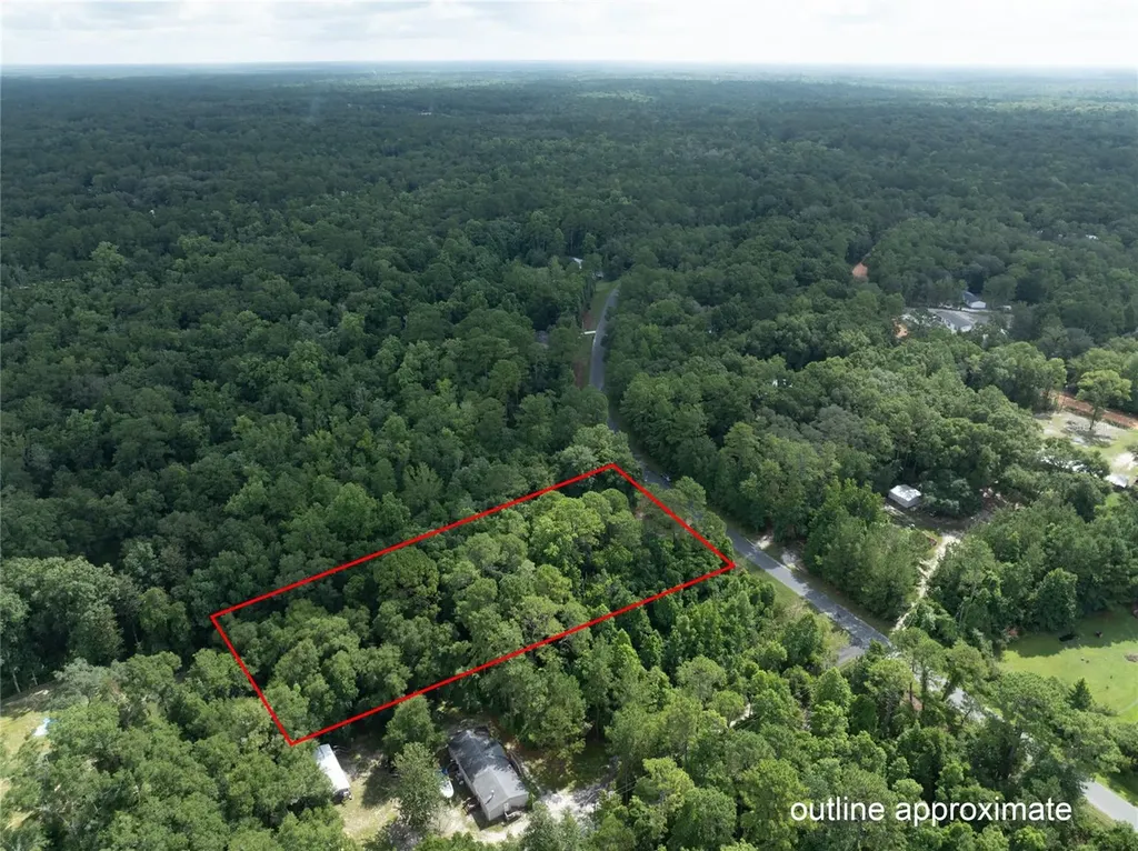5165 Chicory Circle Middleburg FL 32068