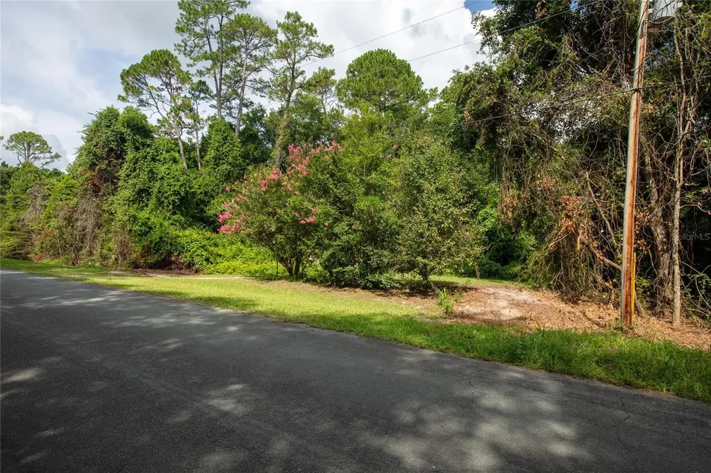 5165 Chicory Circle Middleburg FL 32068