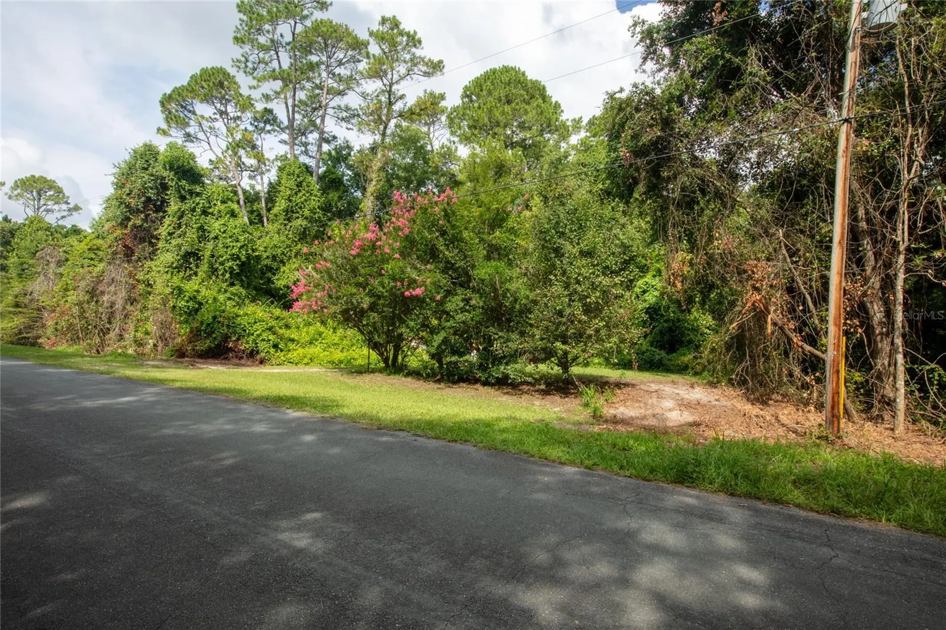 5165 Chicory Circle Middleburg FL 32068