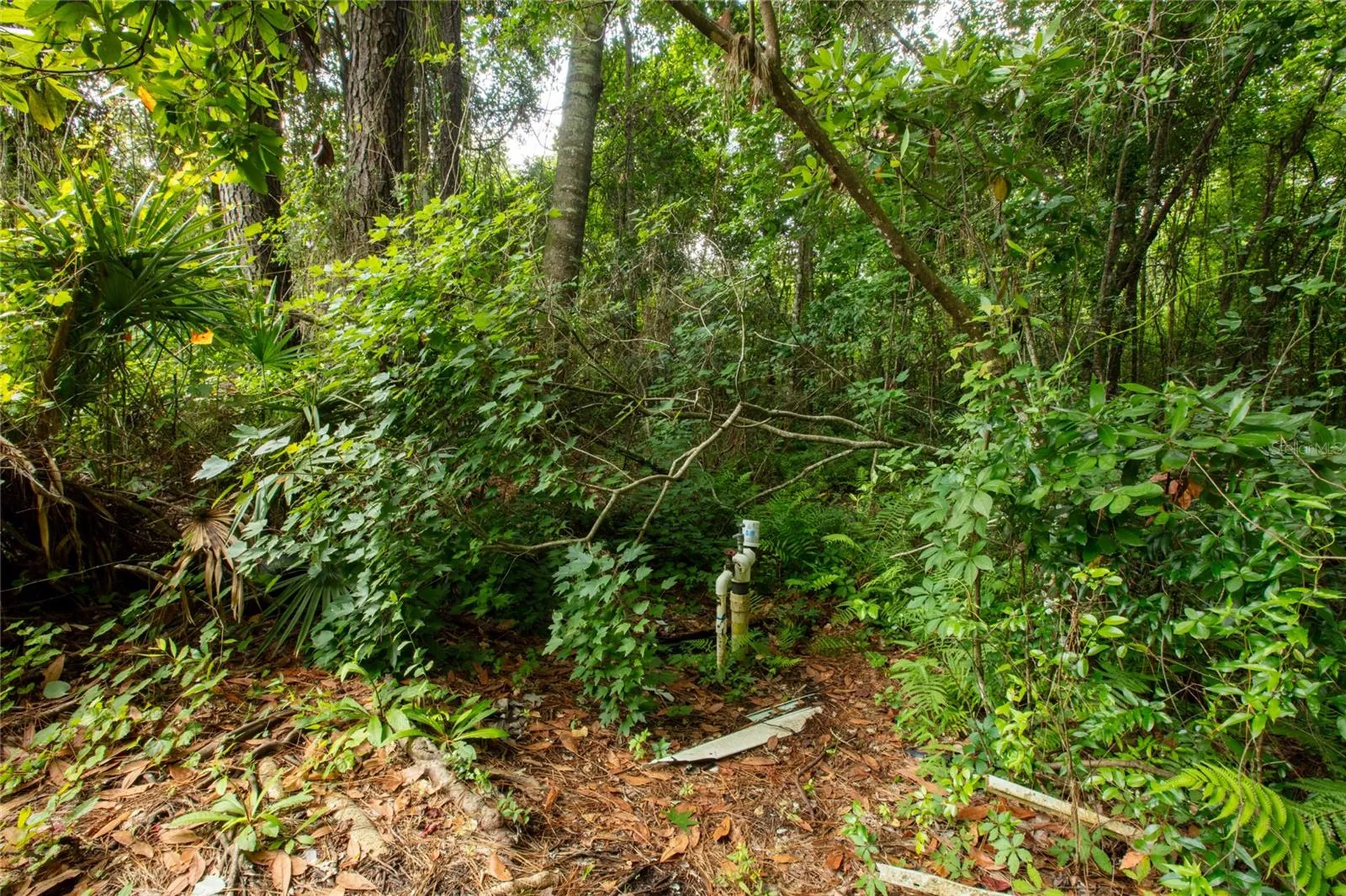 5165 Chicory Circle Middleburg FL 32068