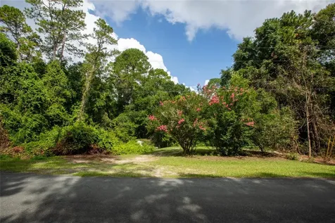 5165 Chicory Circle Middleburg FL 32068