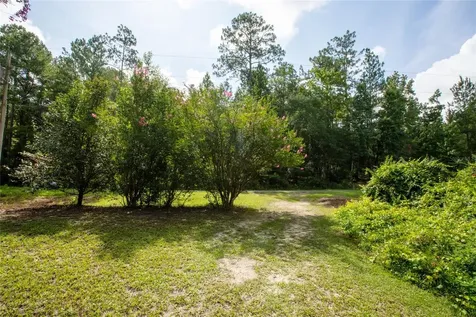 5165 Chicory Circle Middleburg FL 32068