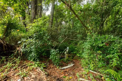 5165 Chicory Circle Middleburg FL 32068