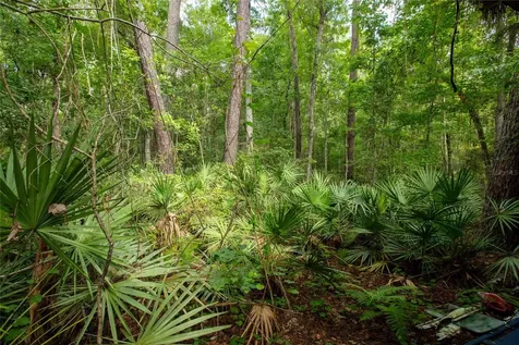 5165 Chicory Circle Middleburg FL 32068