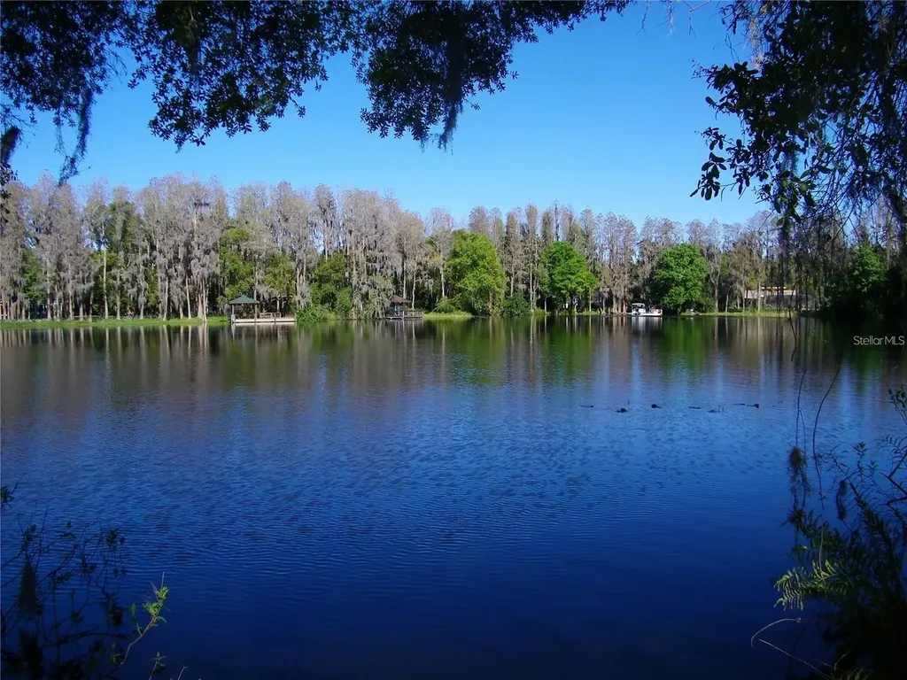 17017 Paula Lane Lutz FL 33558