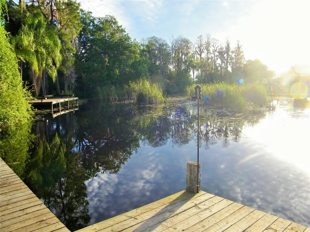 17017 Paula Lane Lutz FL 33558