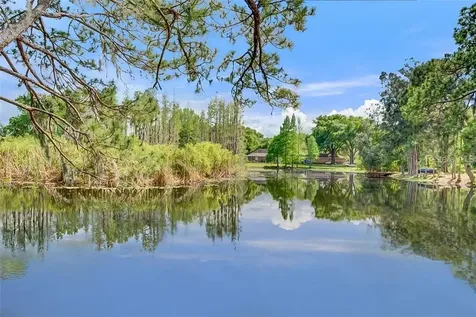 17017 Paula Lane Lutz FL 33558