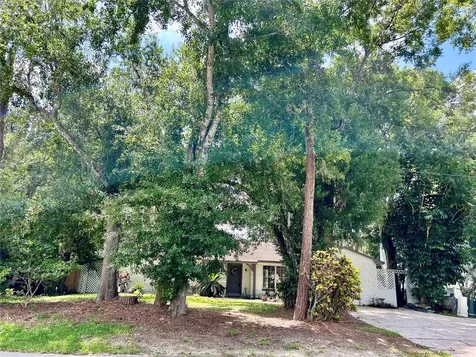 17017 Paula Lane Lutz FL 33558