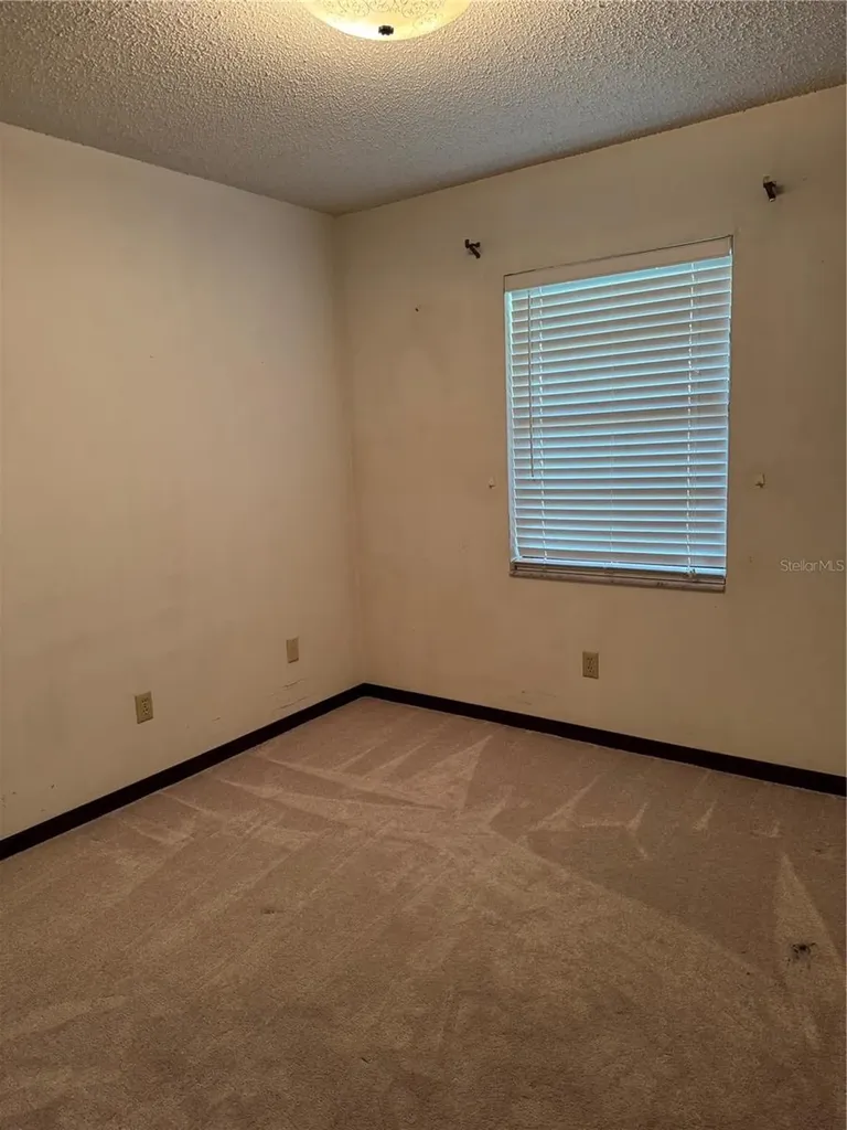 4106 Old Mulberry Road Plant City FL 33567
