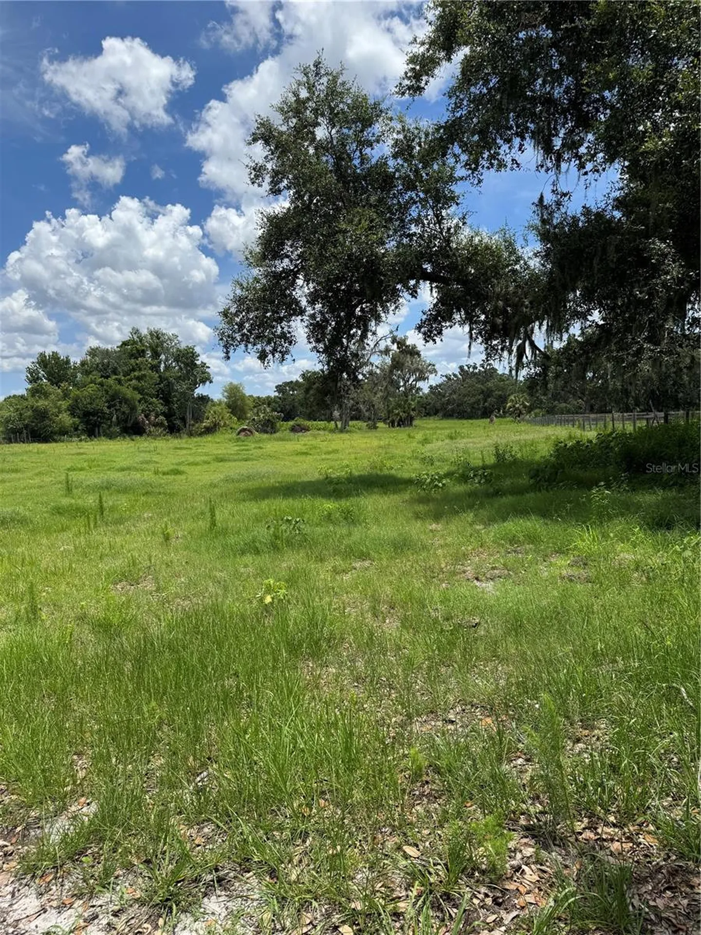 4106 Old Mulberry Road Plant City FL 33567