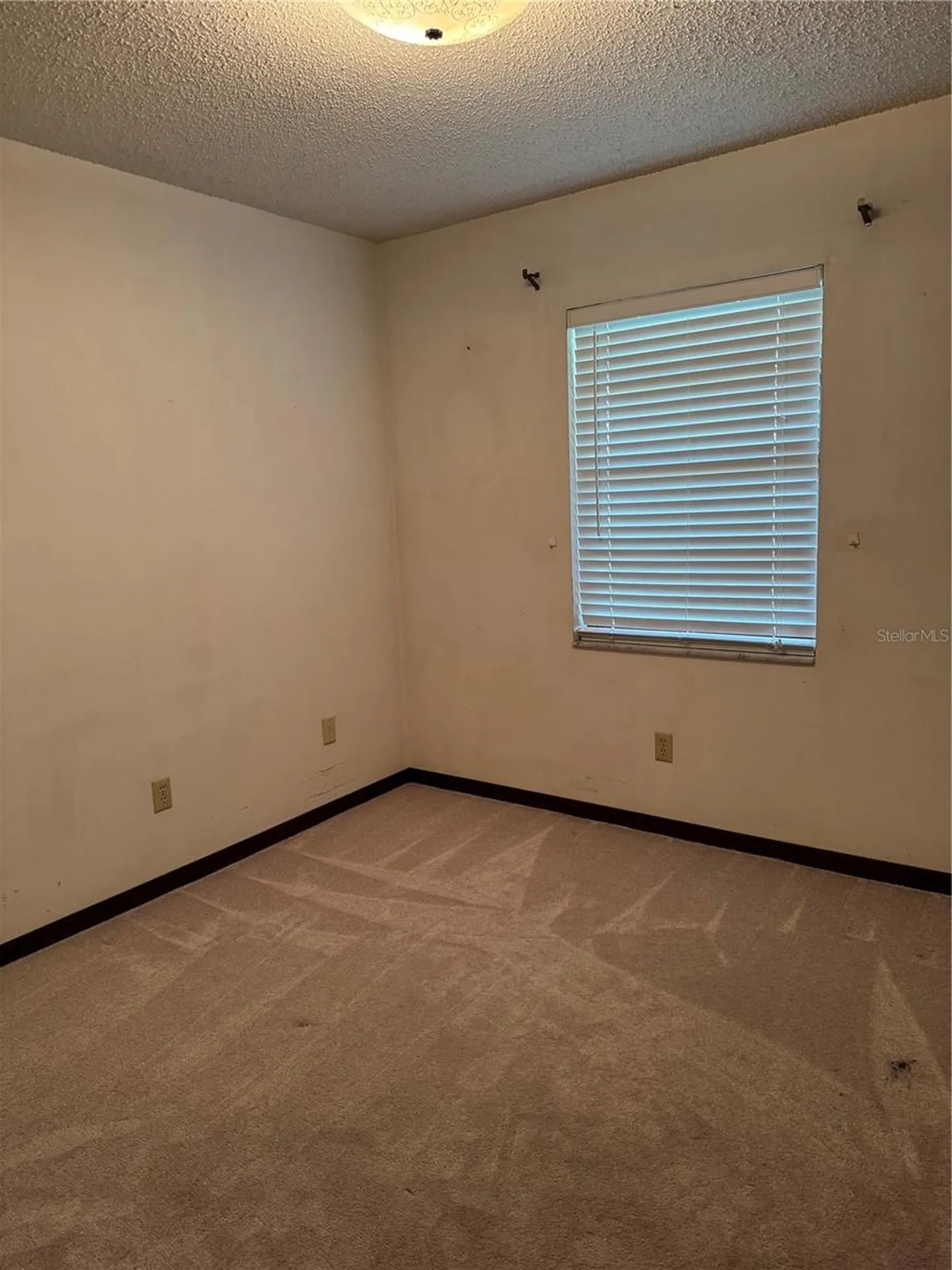 4106 Old Mulberry Road Plant City FL 33567
