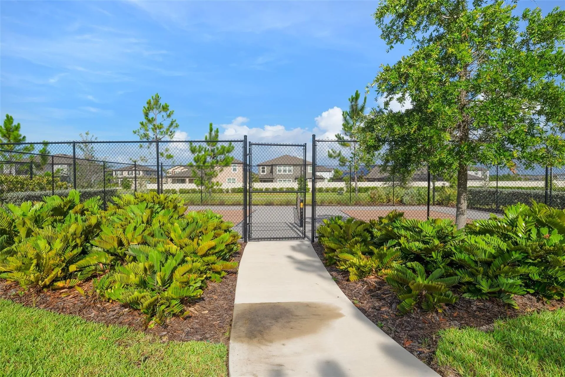 5362 Blue Horizon Way Wimauma FL 33598