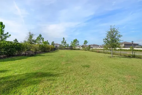 5362 Blue Horizon Way Wimauma FL 33598