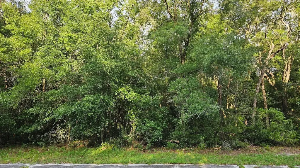 10147 N Dyal Drive Citrus Springs FL 34434