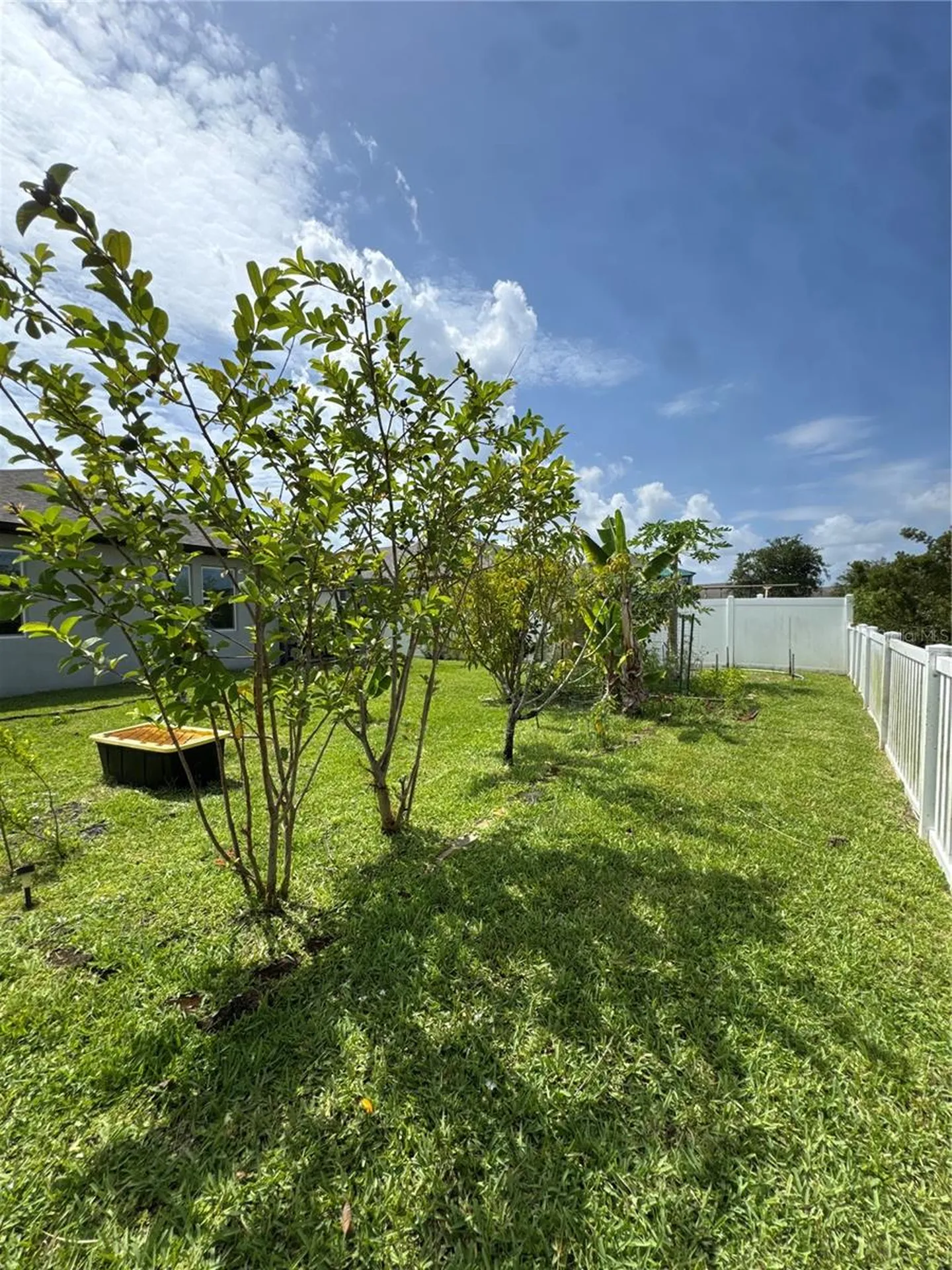 2741 Neverland Drive New Smyrna Beach FL 32168