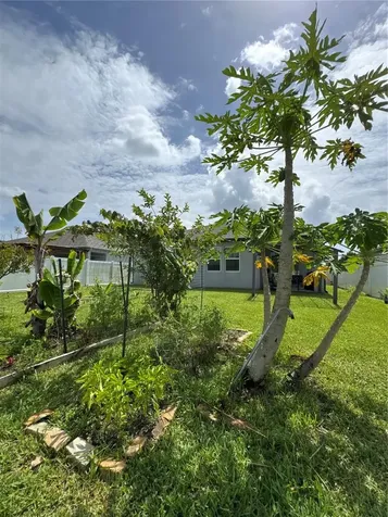 2741 Neverland Drive New Smyrna Beach FL 32168