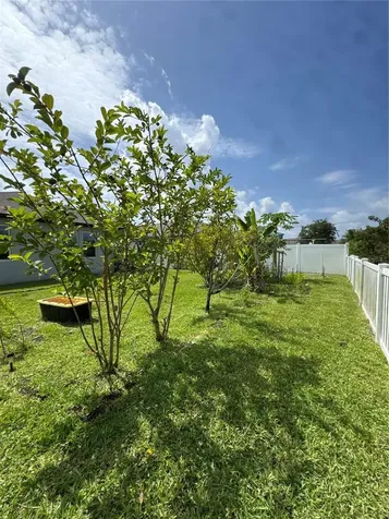 2741 Neverland Drive New Smyrna Beach FL 32168
