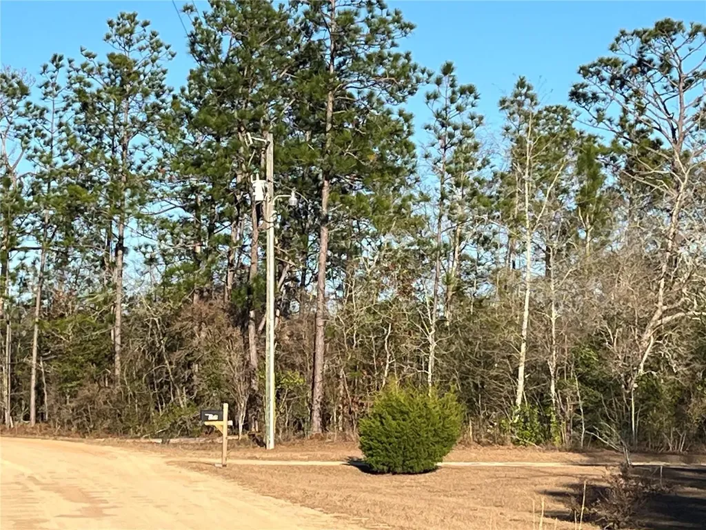 Goreville Avenue Alford FL 32420