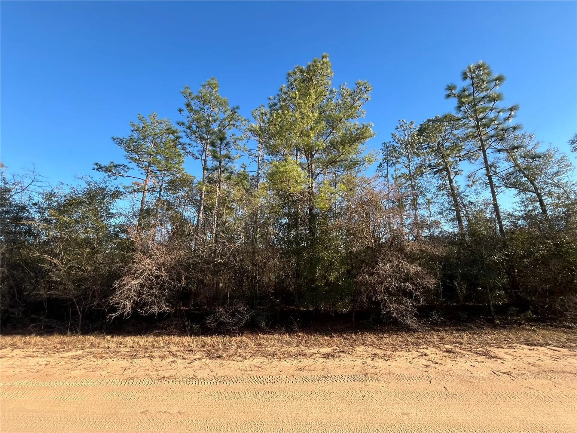 Goreville Avenue Alford FL 32420