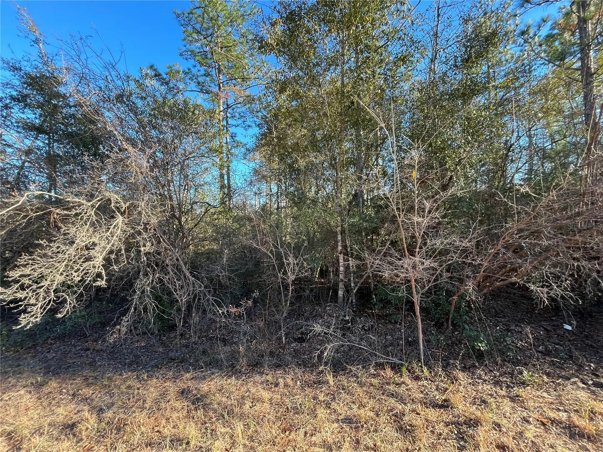 Goreville Avenue Alford FL 32420