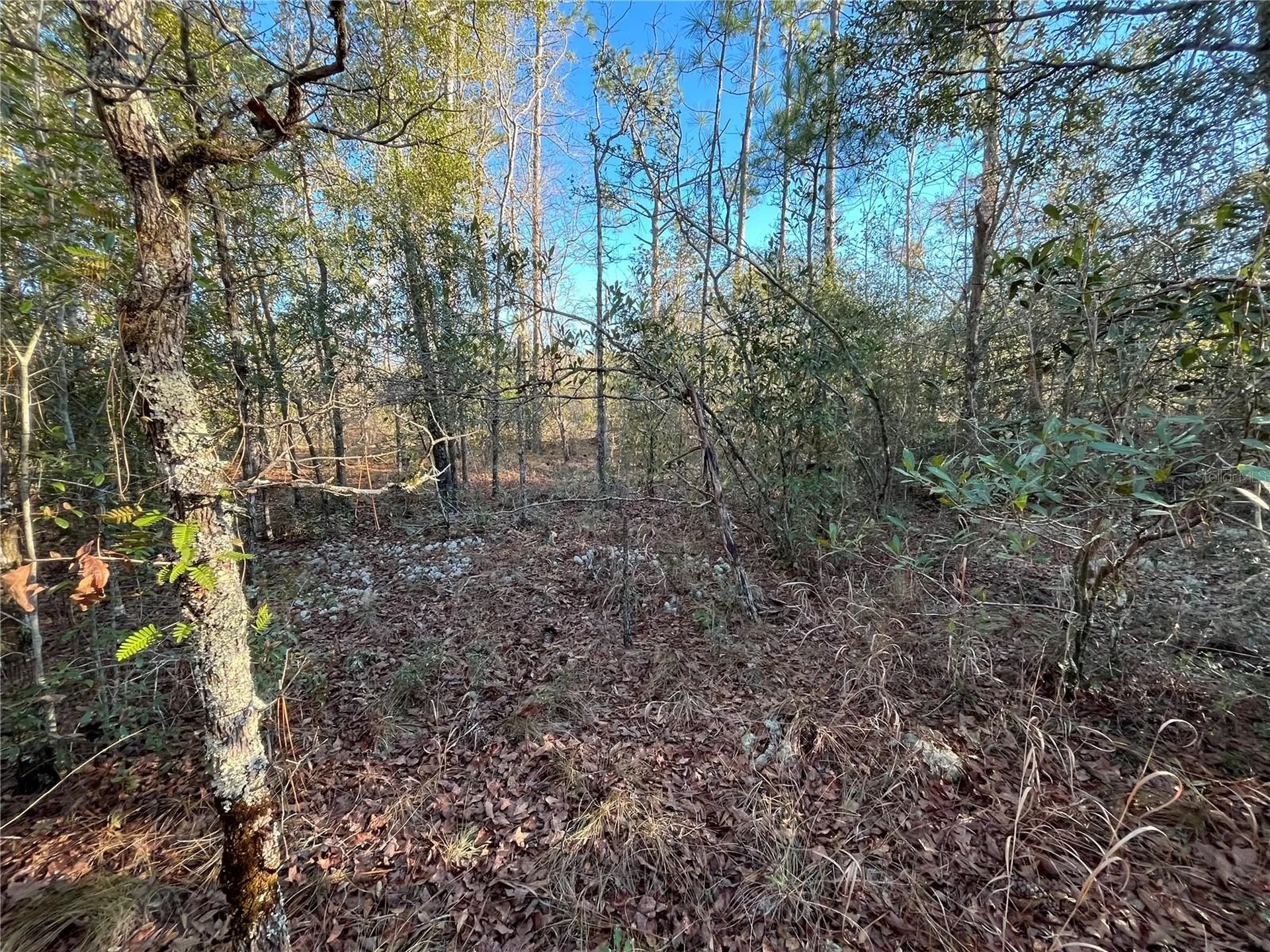 Goreville Avenue Alford FL 32420