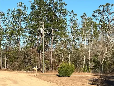 Goreville Avenue Alford FL 32420