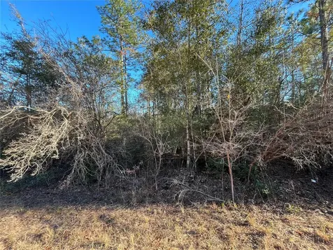 Goreville Avenue Alford FL 32420