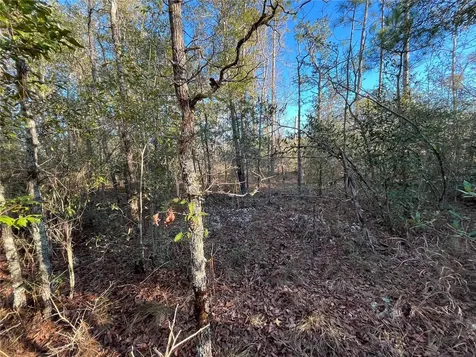 Goreville Avenue Alford FL 32420