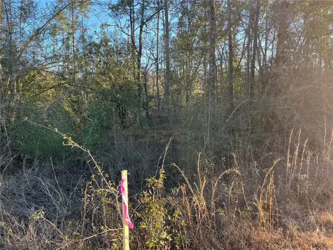 Goreville Avenue Alford FL 32420