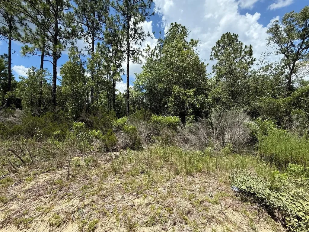 187 Paris Street Interlachen FL 32148