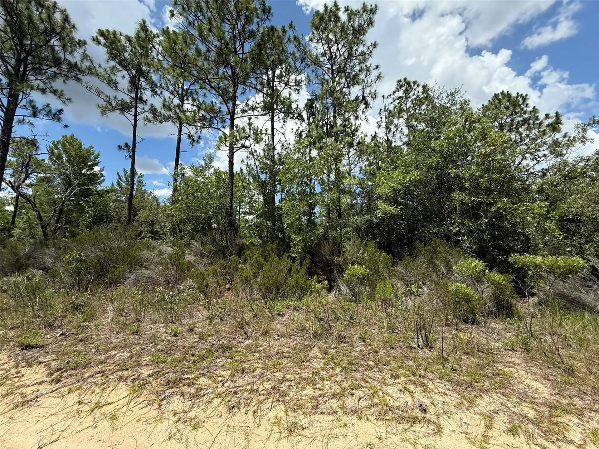 187 Paris Street Interlachen FL 32148