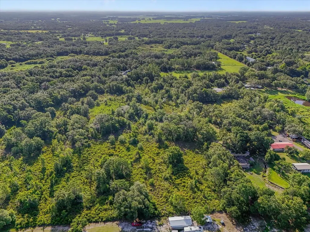 5900 N Dormany Road Plant City FL 33565