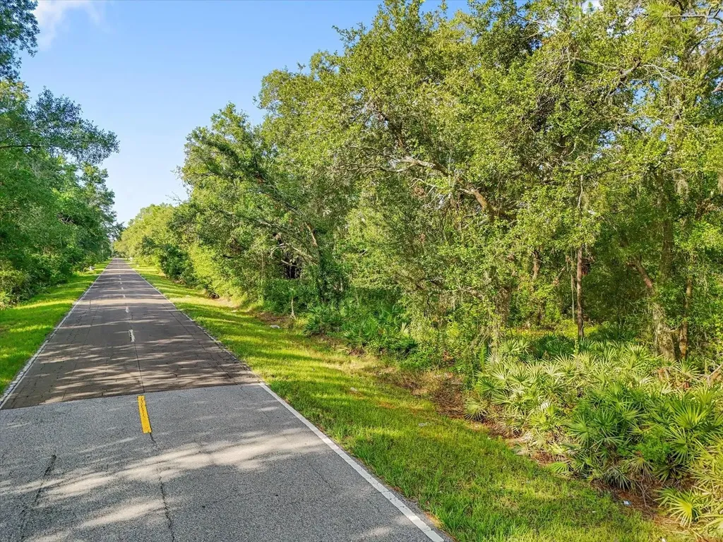 5900 N Dormany Road Plant City FL 33565