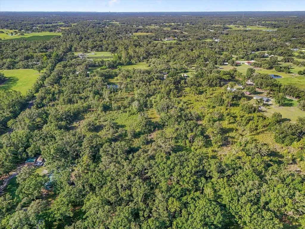 5900 N Dormany Road Plant City FL 33565