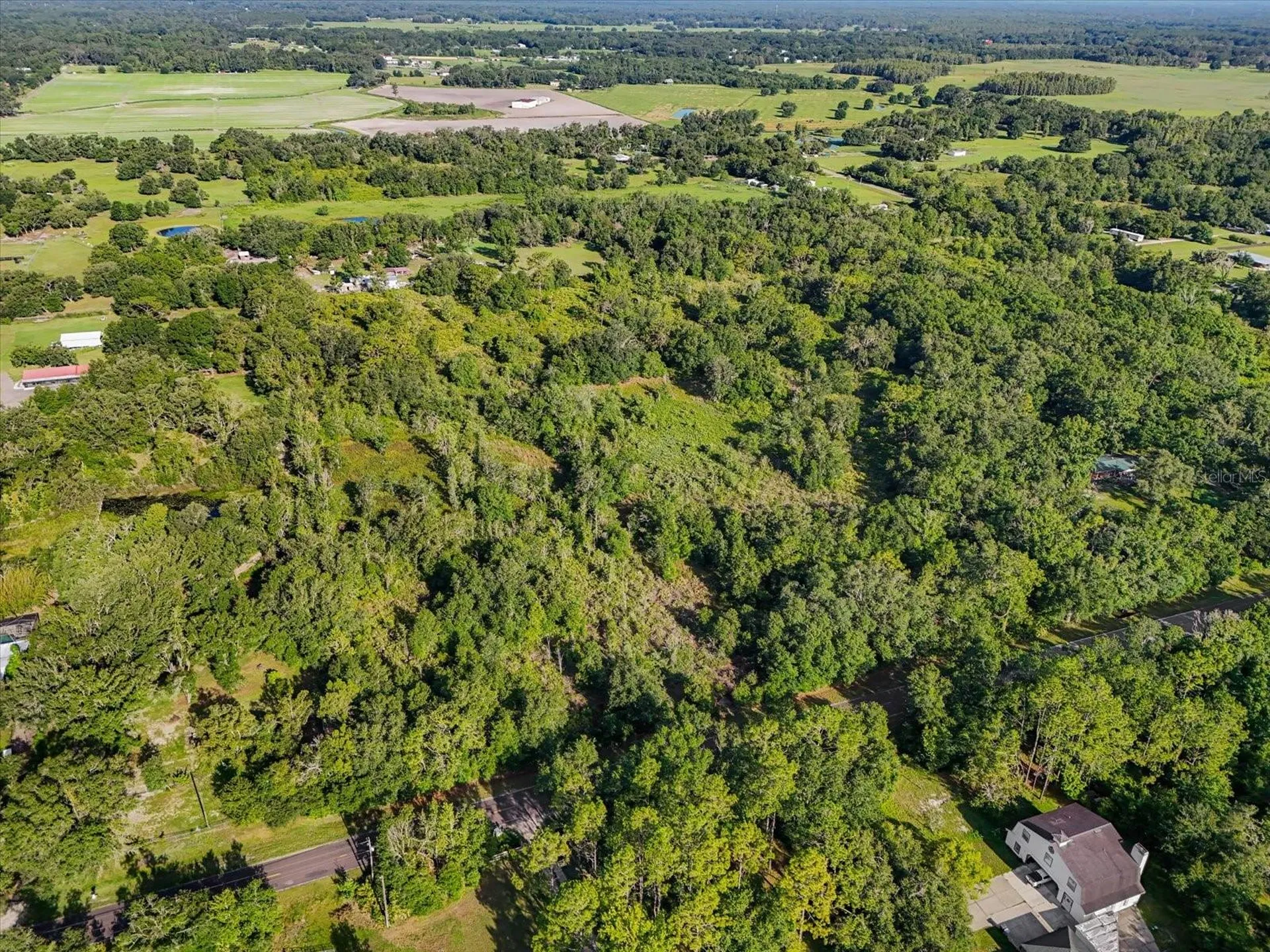 5900 N Dormany Road Plant City FL 33565