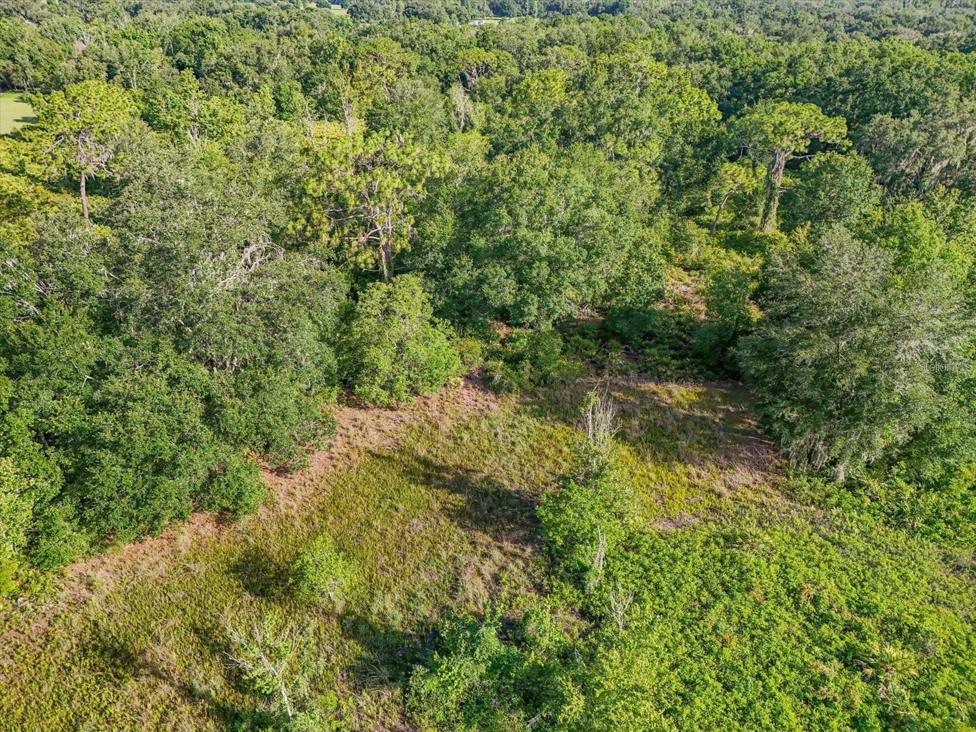 5900 N Dormany Road Plant City FL 33565