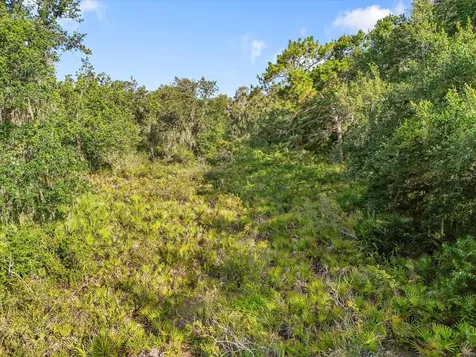 5900 N Dormany Road Plant City FL 33565
