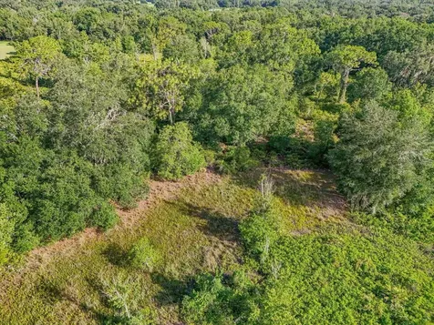 5900 N Dormany Road Plant City FL 33565