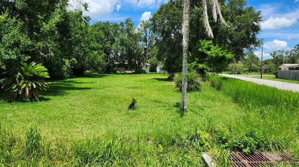 4TH Avenue San Antonio FL 33576