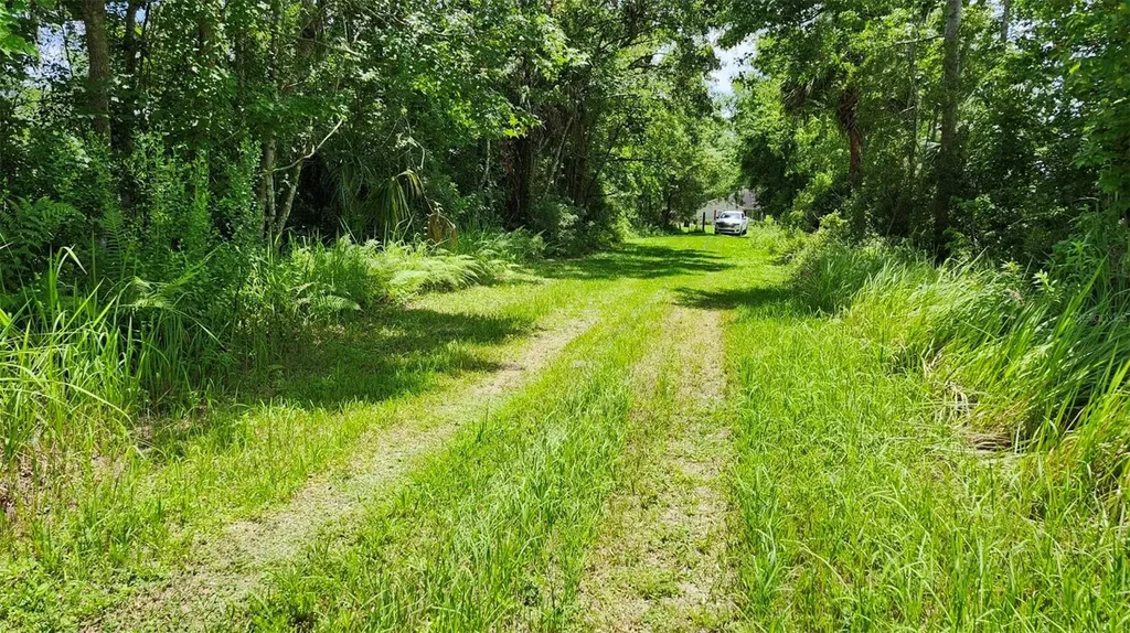 4TH Avenue San Antonio FL 33576