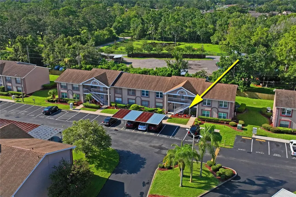6424 Spring Flower Drive New Port Richey FL 34653