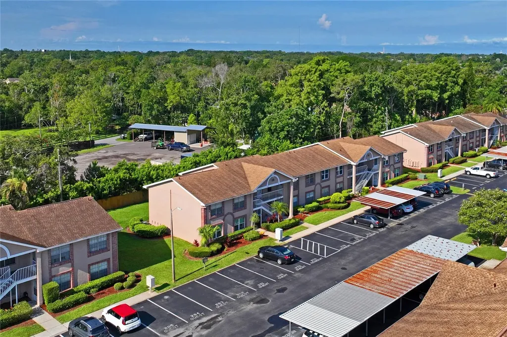 6424 Spring Flower Drive New Port Richey FL 34653