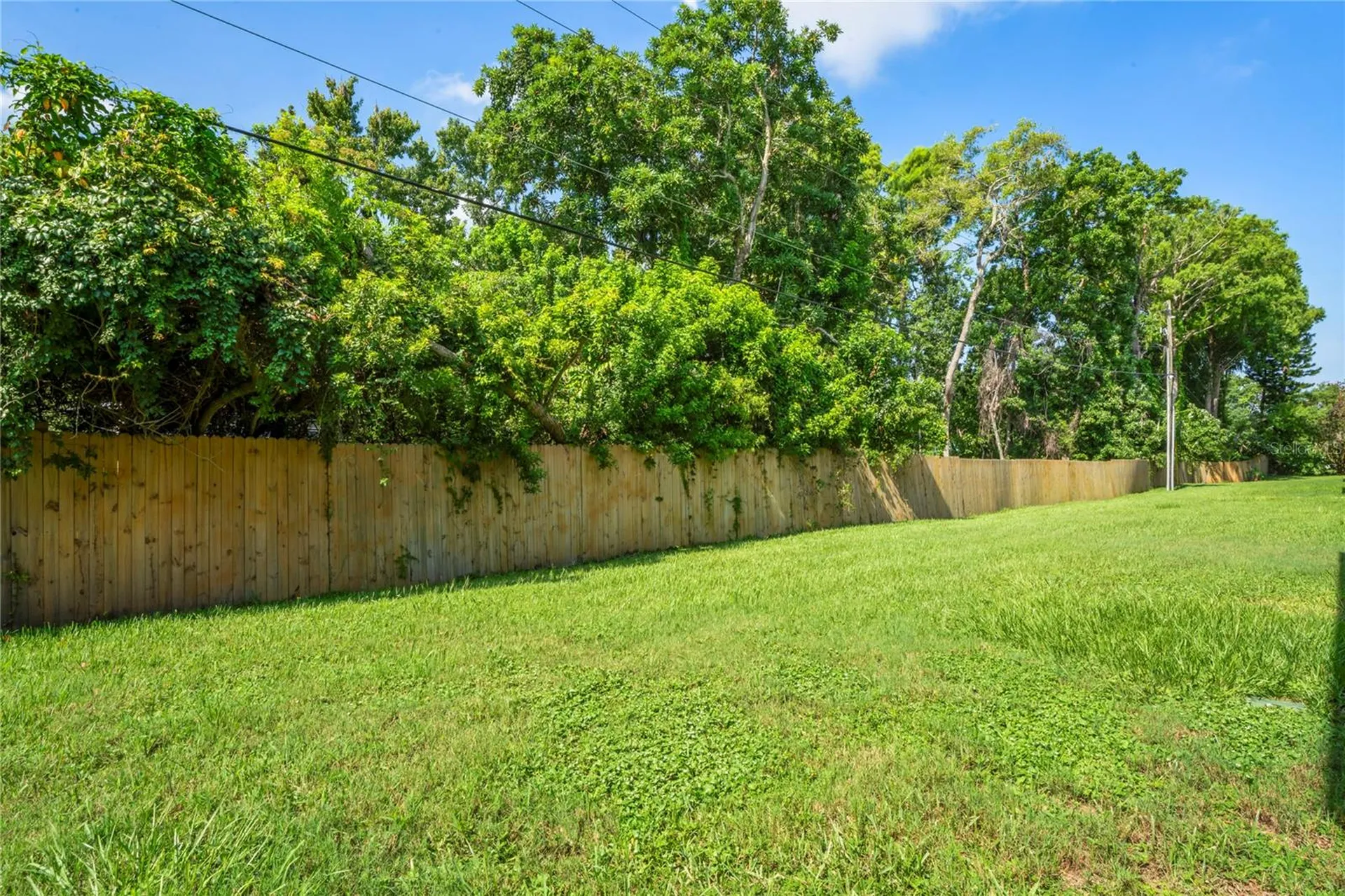 6424 Spring Flower Drive New Port Richey FL 34653