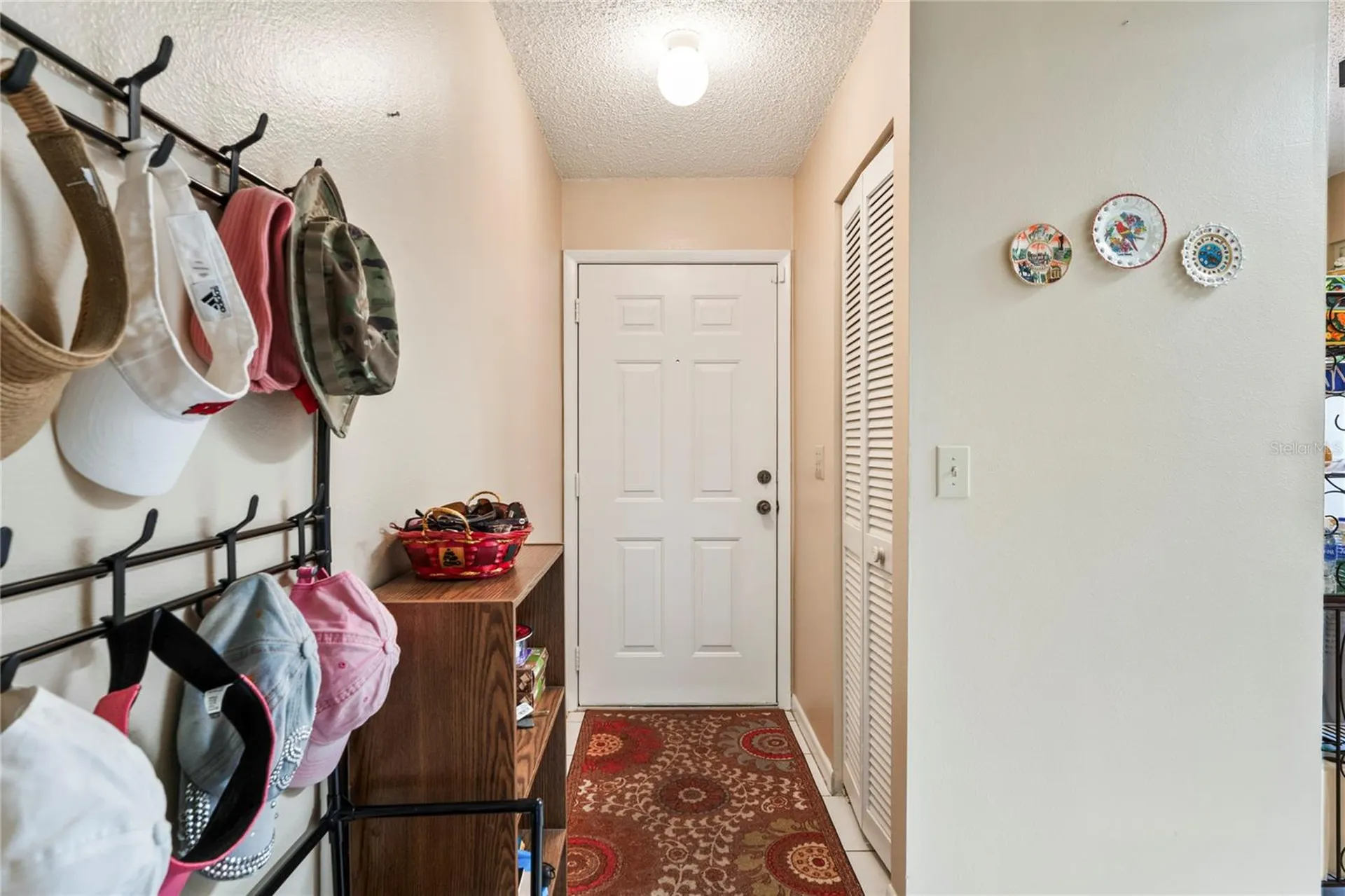 6424 Spring Flower Drive New Port Richey FL 34653