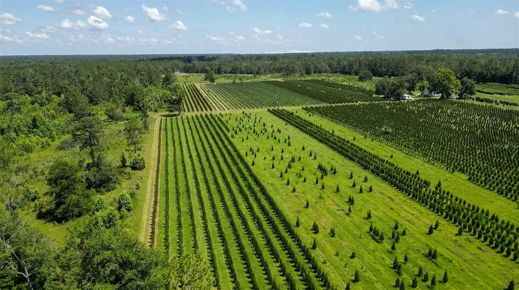 White Springs FL 32096