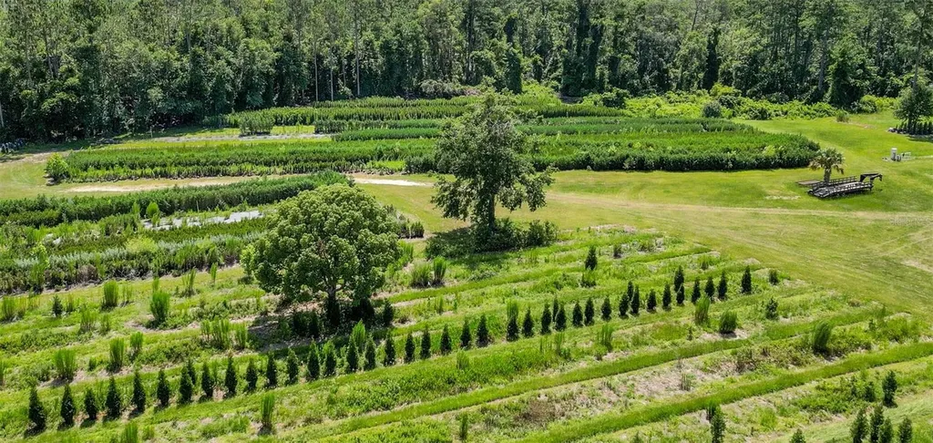 White Springs FL 32096
