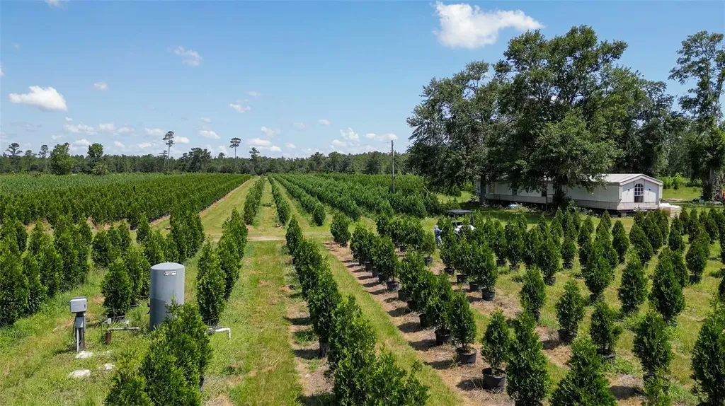 White Springs FL 32096