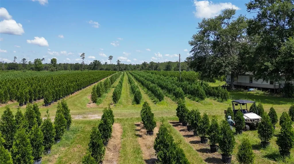 White Springs FL 32096